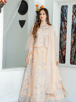 Designer Lehenga choli Indian Pakistani wedding bridesmaids dress Ghagra  choli chaniya choli bridal lehenga